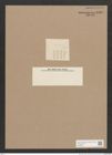 Diatomeae indet. (de-Toni-Nr.: Genus 610) Zeichnungen Sammlung Grunow Nr. 1460 (NHMW-BOT-W0368461)